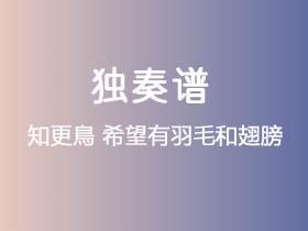 知更鳥《希望有羽毛和翅膀》吉他谱C调吉他指弹独奏谱