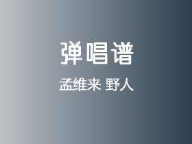 孟维来《野人》吉他谱C调吉他弹唱谱
