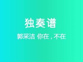 郭采洁《你在,不在》吉他谱C调吉他指弹独奏谱