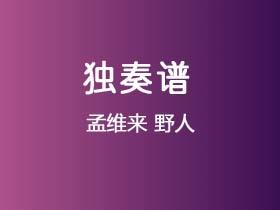孟维来《野人》吉他谱C调吉他指弹独奏谱