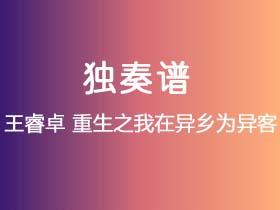 王睿卓《重生之我在异乡为异客》吉他谱G调吉他指弹独奏谱