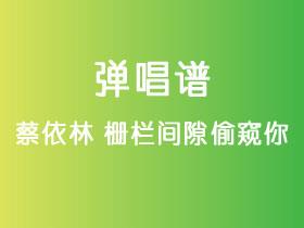 蔡依林《栅栏间隙偷窥你》吉他谱C调吉他弹唱谱