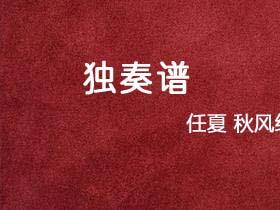 任夏《秋风经过》吉他谱C调吉他指弹独奏谱