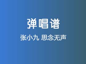 张小九《思念无声》吉他谱G调吉他弹唱谱