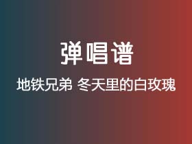 地铁兄弟《冬天里的白玫瑰》吉他谱D调吉他弹唱谱