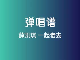 薛凯琪《一起老去》吉他谱C调吉他弹唱谱