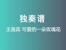 王洛宾《可爱的一朵玫瑰花》吉他谱G调吉他指弹独奏谱