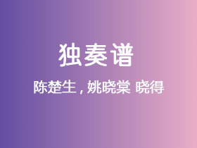 陈楚生,姚晓棠《晓得》吉他谱G调吉他指弹独奏谱