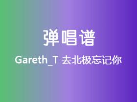 Gareth_T《去北极忘记你》吉他谱G调吉他弹唱谱