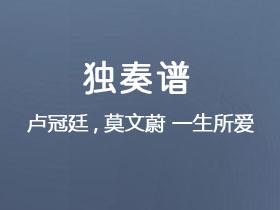 卢冠廷《一生所爱》吉他谱G调吉他指弹独奏谱