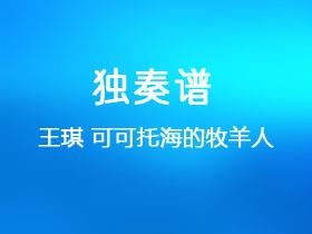 王琪《可可托海的牧羊人》吉他谱G调吉他指弹独奏谱