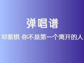 邓紫棋《你不是第一个离开的人》吉他谱G调吉他弹唱谱