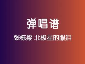 张栋梁《北极星的眼泪》吉他谱C调吉他弹唱谱