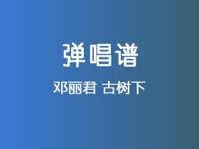邓丽君《古树下》吉他谱G调吉他弹唱谱