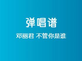 邓丽君《不管你是谁》吉他谱G调吉他弹唱谱