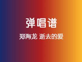 郑海龙《逝去的爱》吉他谱G调吉他弹唱谱