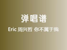 Eric周兴哲《你不属于我》吉他谱G调吉他弹唱谱