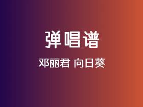 邓丽君《向日葵》吉他谱C调吉他弹唱谱