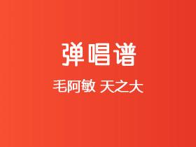 毛阿敏《天之大》吉他谱C调吉他弹唱谱