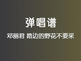 邓丽君《路边的野花不要采》吉他谱C调吉他弹唱谱