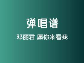 邓丽君《愿你来看我 》吉他谱G调吉他弹唱谱