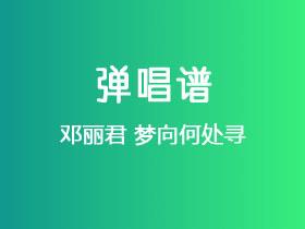 邓丽君《梦向何处寻》吉他谱G调吉他弹唱谱