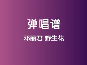 邓丽君《野生花》吉他谱G调吉他弹唱谱
