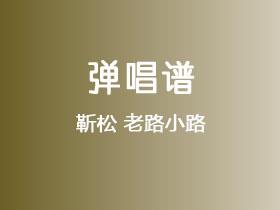 靳松《老路小路》吉他谱C调吉他弹唱谱