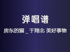 房东的猫_于翔北《美好事物》吉他谱C调吉他弹唱谱