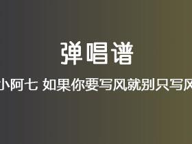小阿七《如果你要写风就别只写风》吉他谱C调吉他弹唱谱