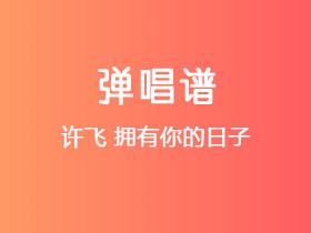 许飞《拥有你的日子》吉他谱C调吉他弹唱谱