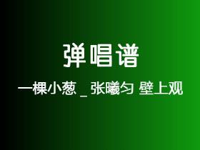 一棵小葱_张曦匀《壁上观》吉他谱C调吉他弹唱谱