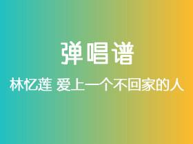 林忆莲《爱上一个不回家的人》吉他谱C调吉他弹唱谱