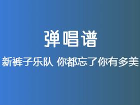 新裤子乐队《你都忘了你有多美》吉他谱G调吉他弹唱谱