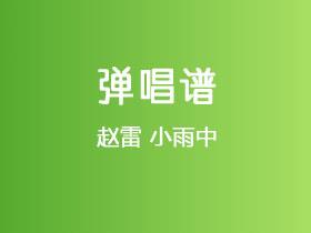 赵雷《小雨中》吉他谱C调吉他弹唱谱