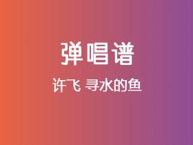 许飞《寻水的鱼》吉他谱D调吉他弹唱谱