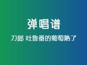 刀郎《吐鲁番的葡萄熟了》吉他谱C调吉他弹唱谱