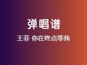 王菲《你在终点等我》吉他谱G调吉他弹唱谱