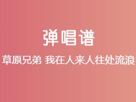 草原兄弟《我在人来人往处流浪》吉他谱C调吉他弹唱谱