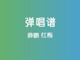 薛鹏《红梅》吉他谱C调吉他弹唱谱