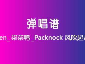 seven_柒柒鸭_Packnock《风吹起从前》吉他谱C调吉他弹唱谱