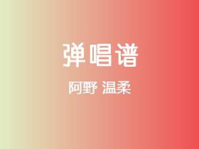 阿野《温柔》吉他谱C调吉他弹唱谱