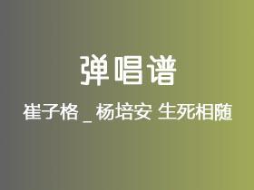 崔子格_杨培安《生死相随》吉他谱C调吉他弹唱谱