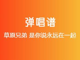 草原兄弟《是你说永远在一起》吉他谱G调吉他弹唱谱