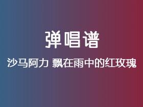 沙马阿力《飘在雨中的红玫瑰》吉他谱G调吉他弹唱谱
