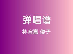 林宥嘉《傻子》吉他谱G调吉他弹唱谱