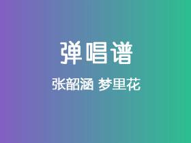张韶涵《梦里花》吉他谱C调吉他弹唱谱
