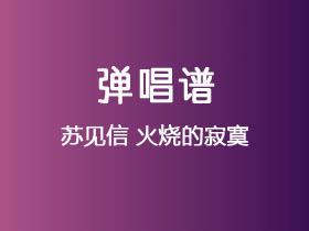 苏见信《火烧的寂寞》吉他谱G调吉他弹唱谱