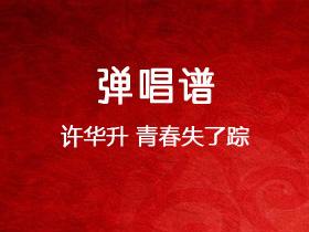 许华升《青春失了踪》吉他谱C调吉他弹唱谱