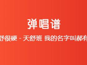 天舒很硬-天舒班《我的名字叫郝有才》吉他谱G调吉他弹唱谱